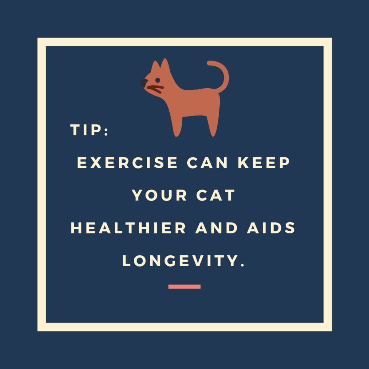 How to Help Your Cat Live Longer PetHelpful