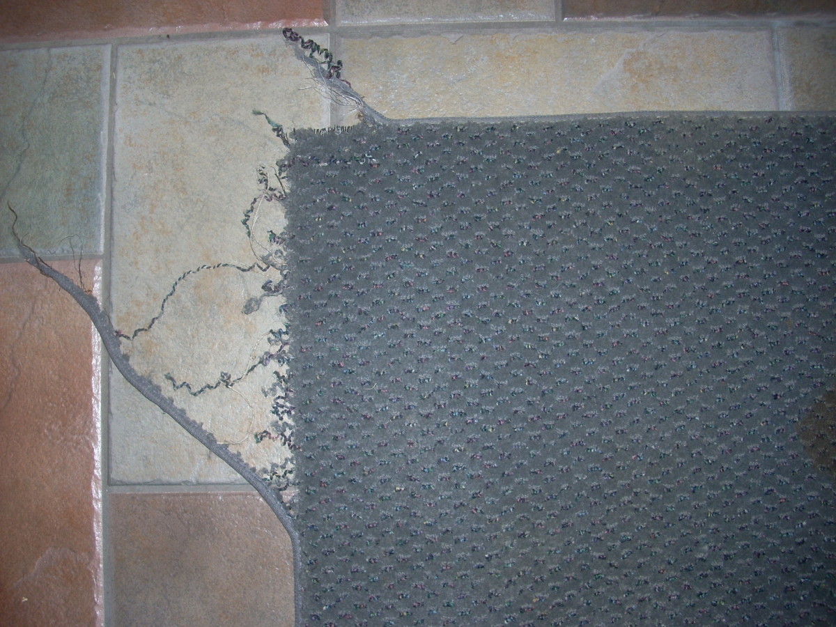 Meadow Chewed Up a Welcome Mat