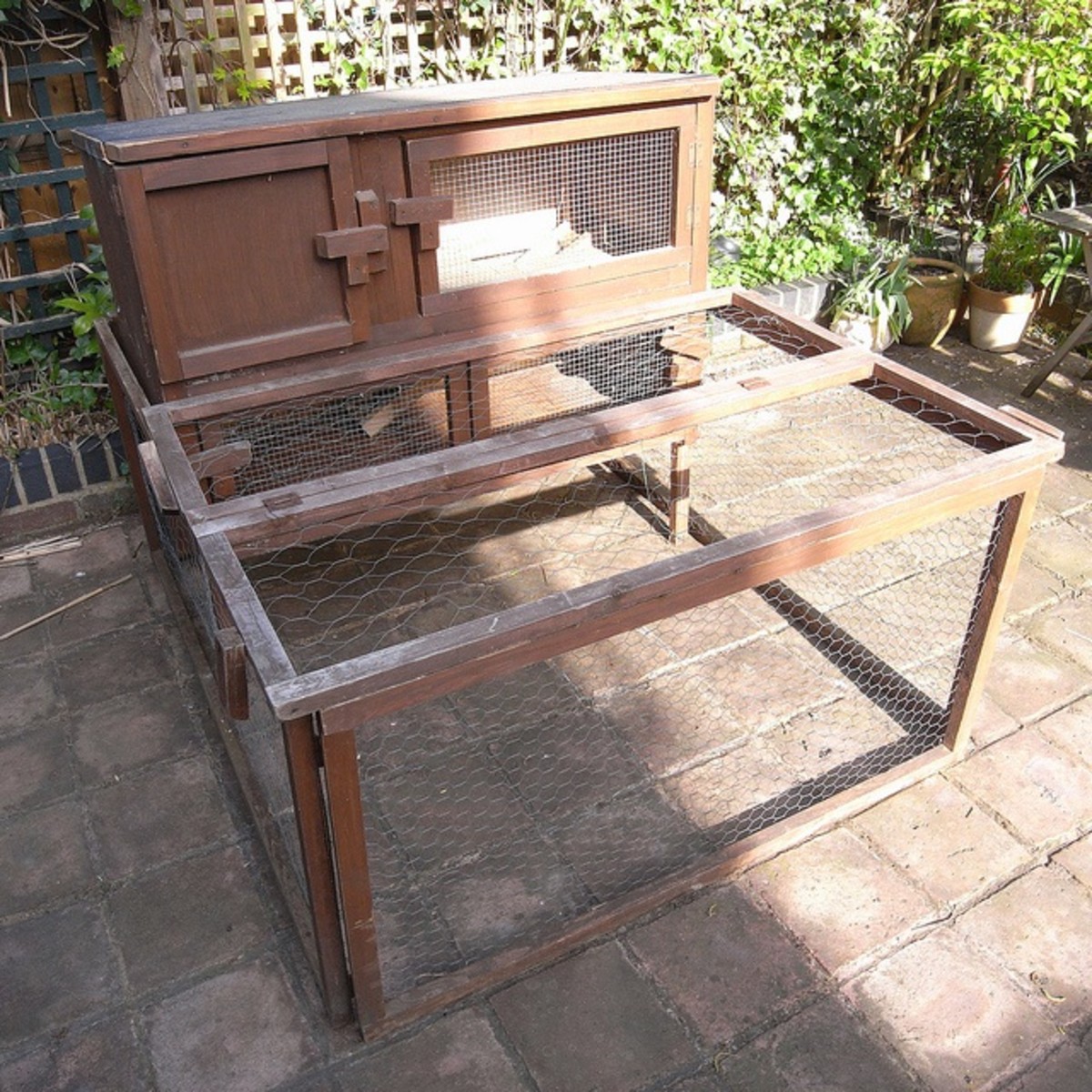 Can I Keep My Guinea Pig Outdoors? PetHelpful