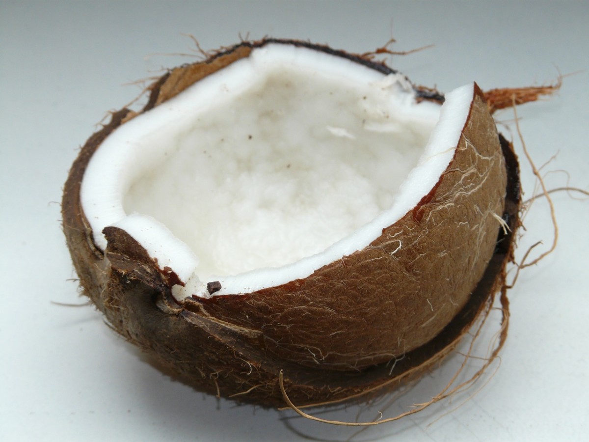 Coconut oil for on sale dogs with kidney disease