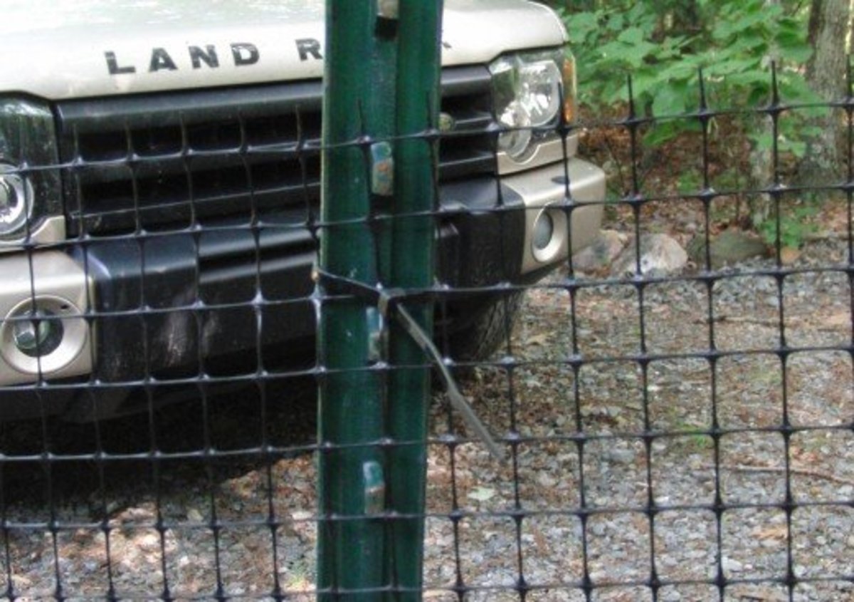 temporary gates for dogs