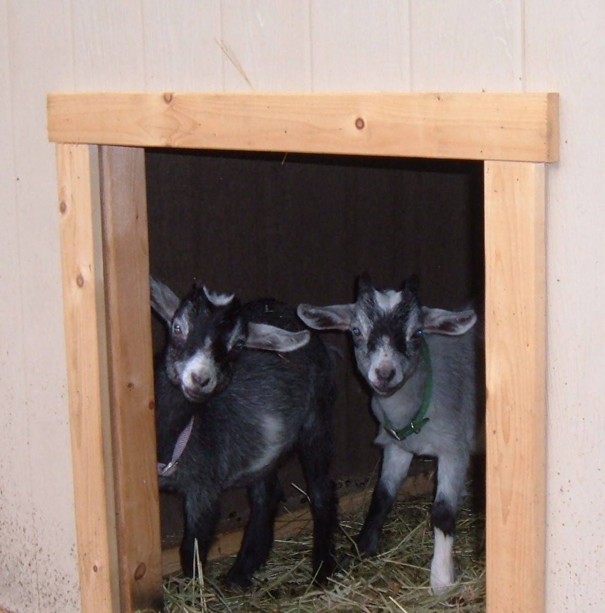 How To Build A Goat Shelter