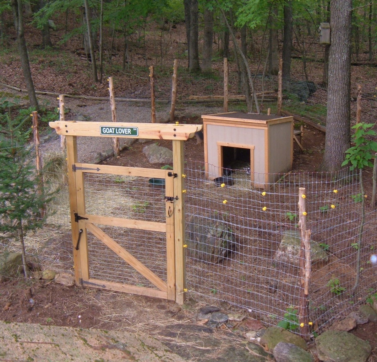 How We Built Our Pet Pygmy Goats Pen PetHelpful