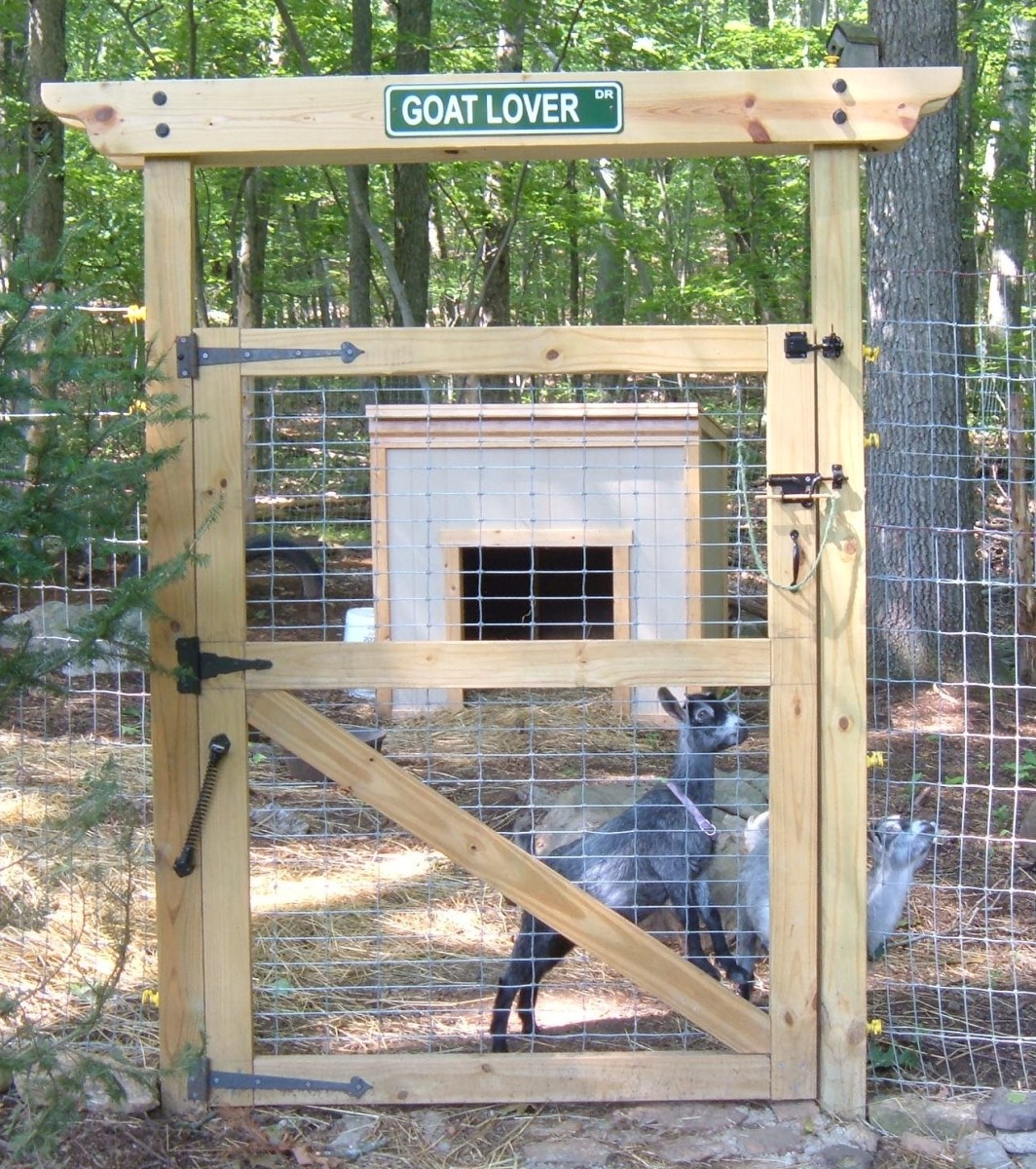 How We Built Our Pet Pygmy Goats Pen PetHelpful