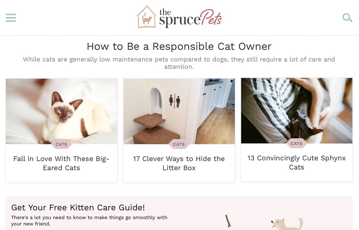 cats-pet-web-pages
