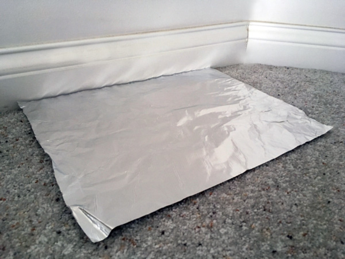 13 Reasons Why a Cat Is Not Using the Litter Box (With Solutions