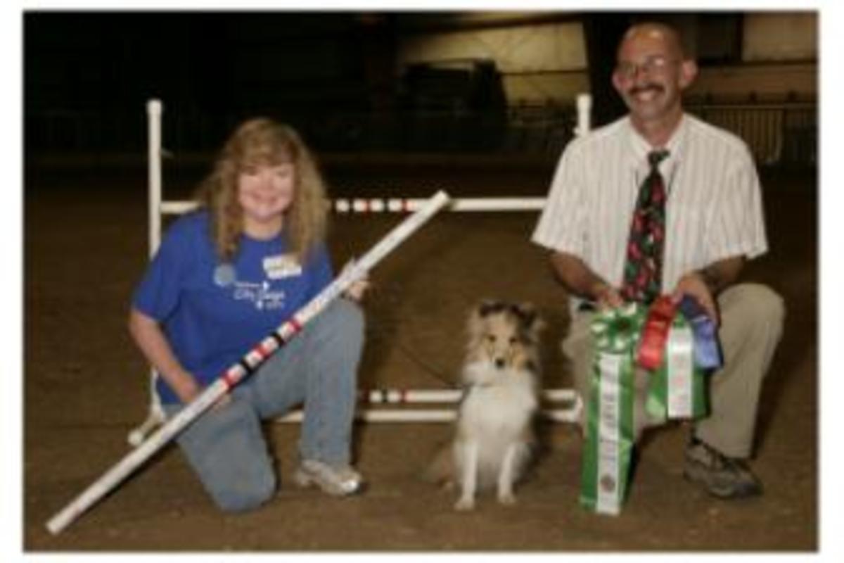 group dog obedience training near me