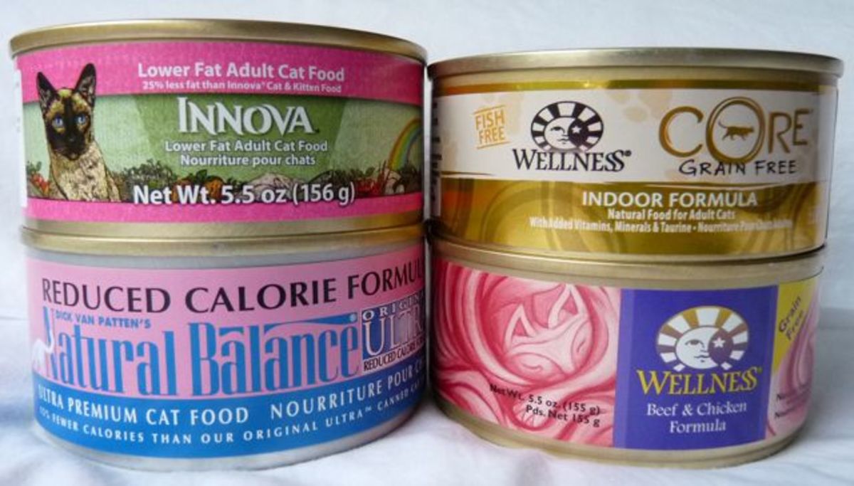 Canned cat food. 