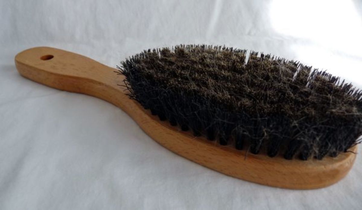A regular bristle brush works fine for most cats. 