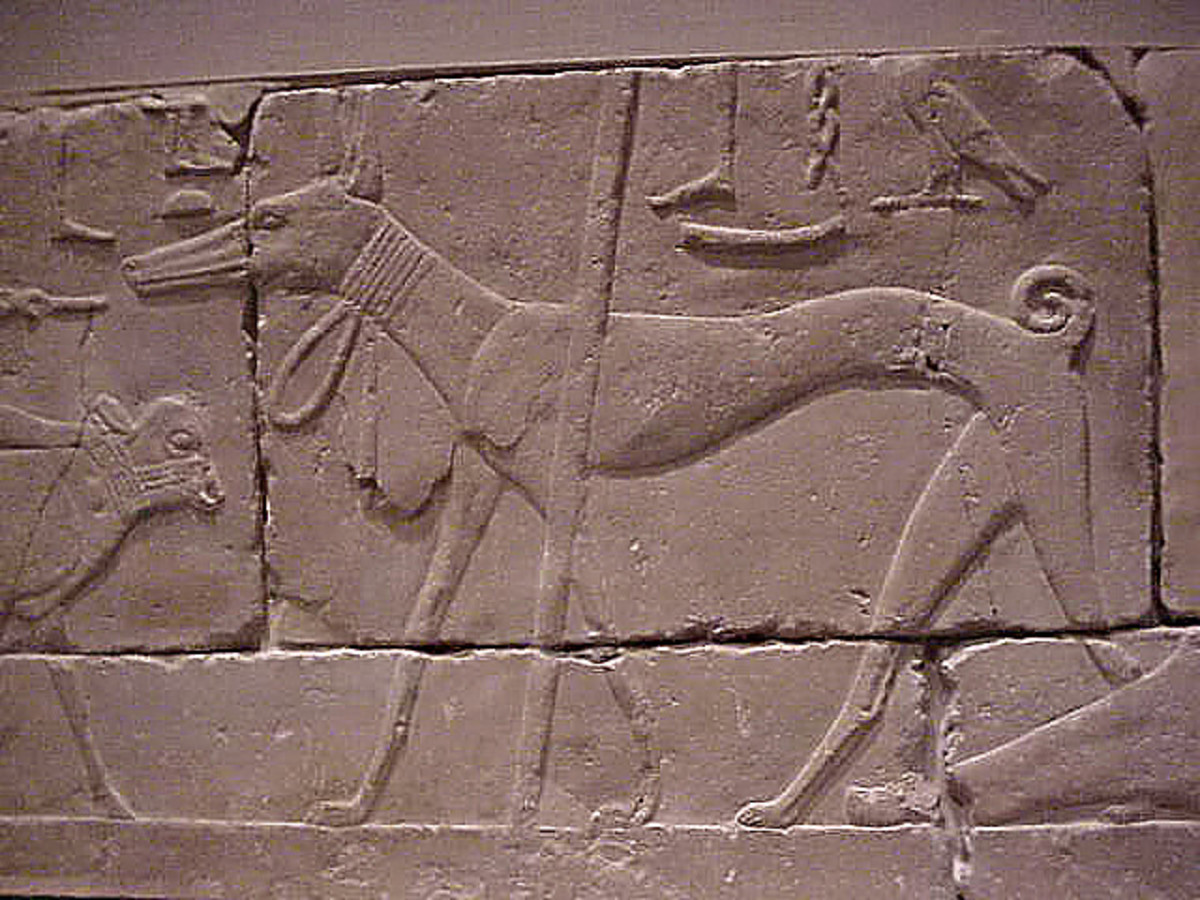 Басенджи в древнем Египте