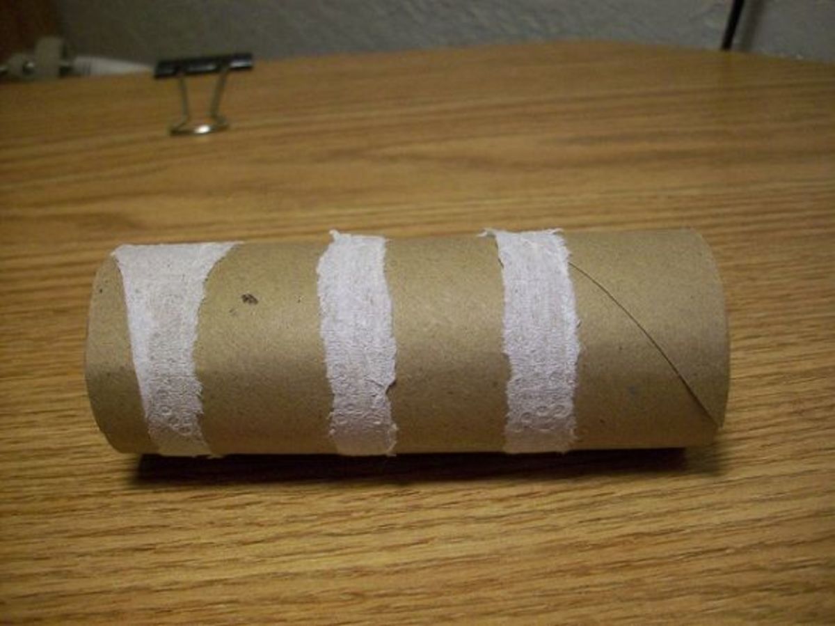 Cat toys out outlet of toilet paper rolls