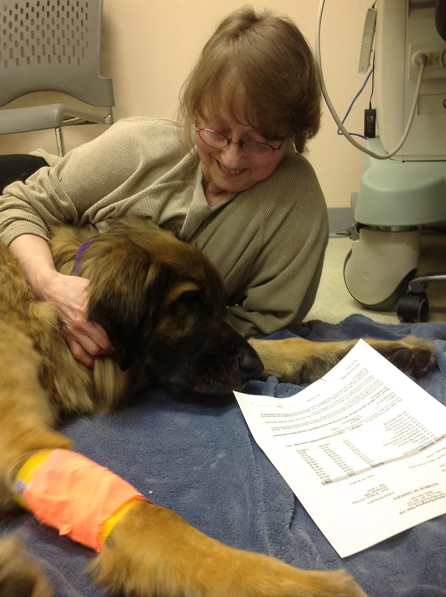 My sister and Ryan at the vet clinic after the surgery; she's tired but happy that the operation is over