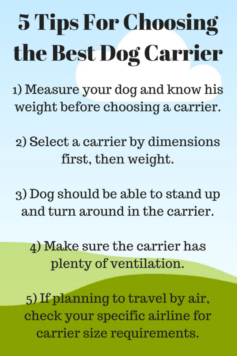 How to Choose the Best Carrier for Your Dog