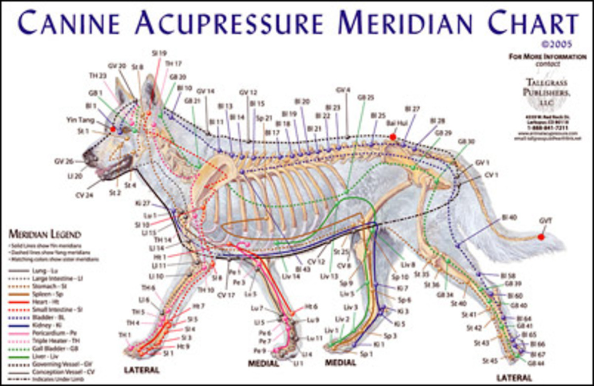 Acupressure may help if a veterinary acupuncturist is not
available.
