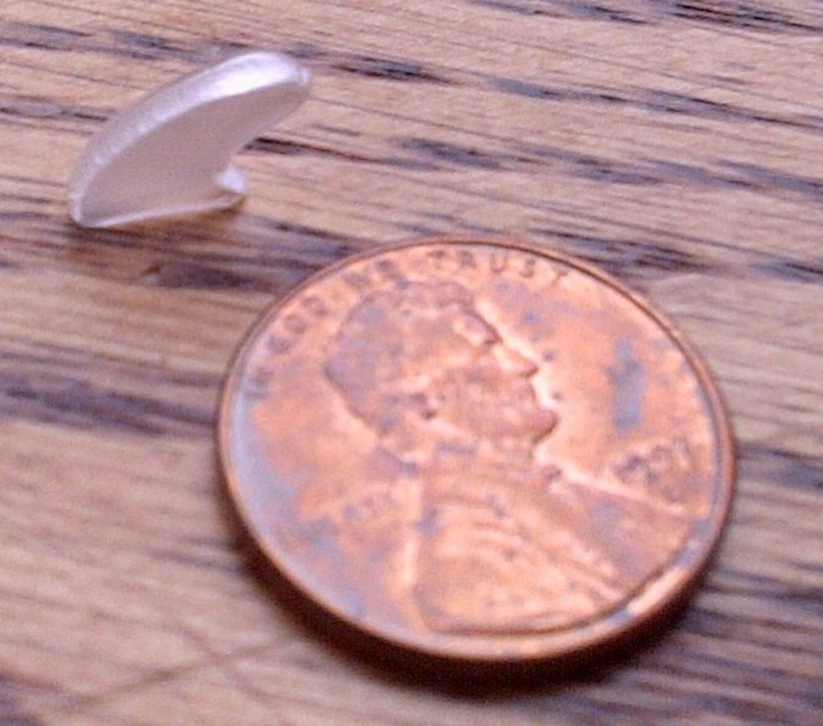 Claw caps are hollow and fit over the cat's claws.