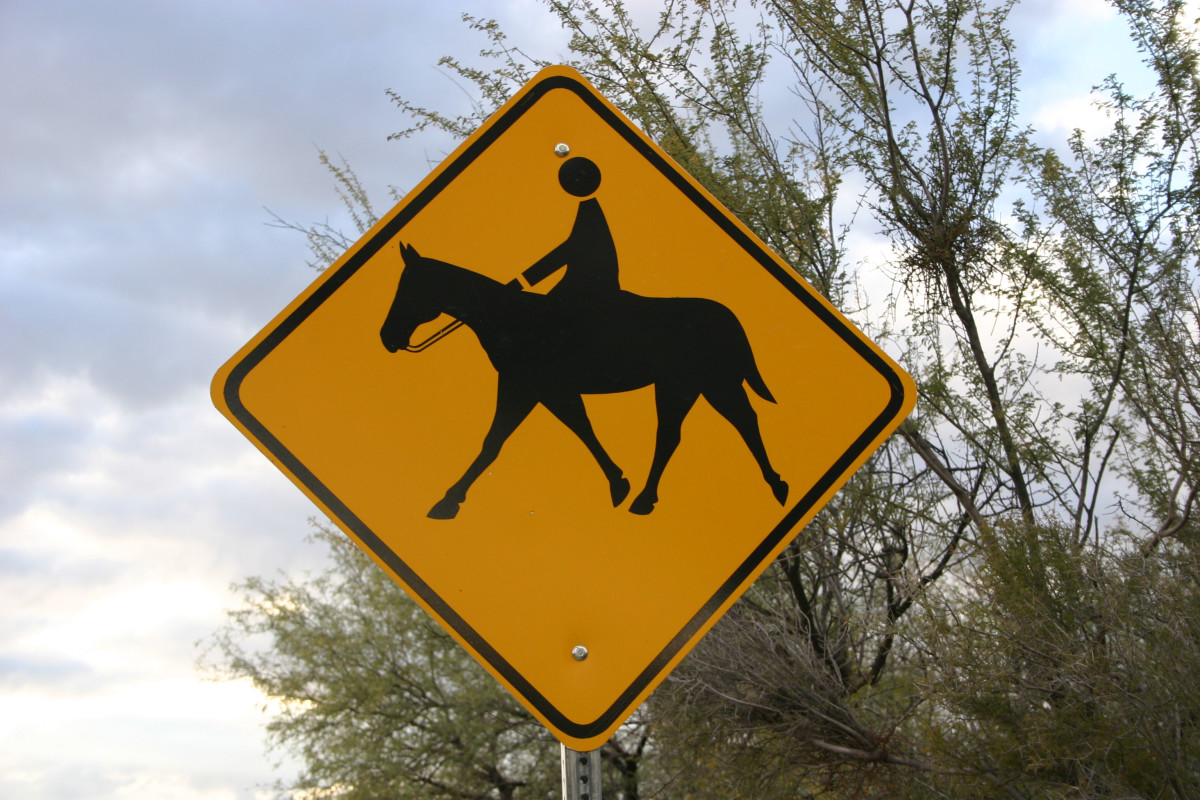 Horse Crossing