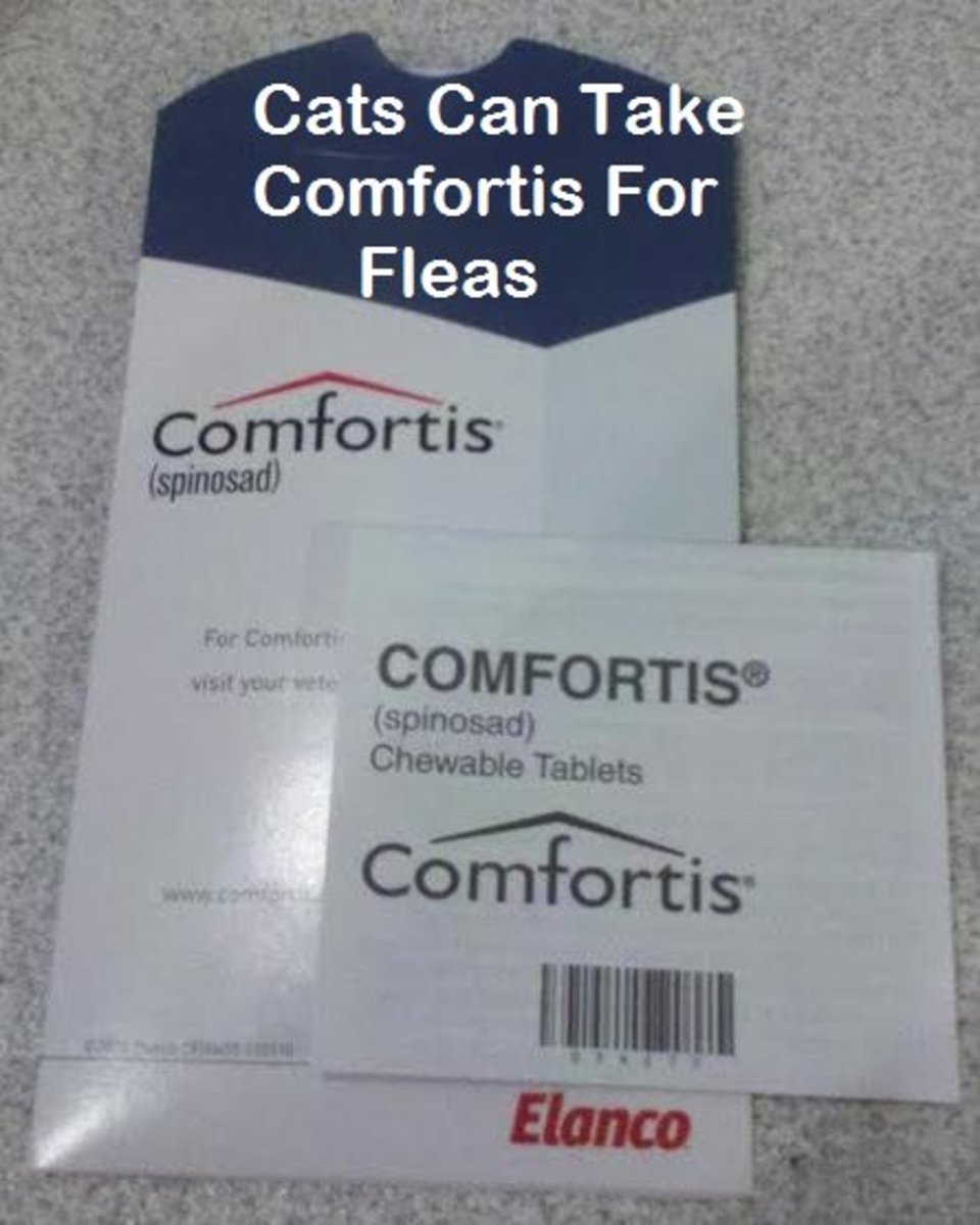 Comfortis flea cheap pill