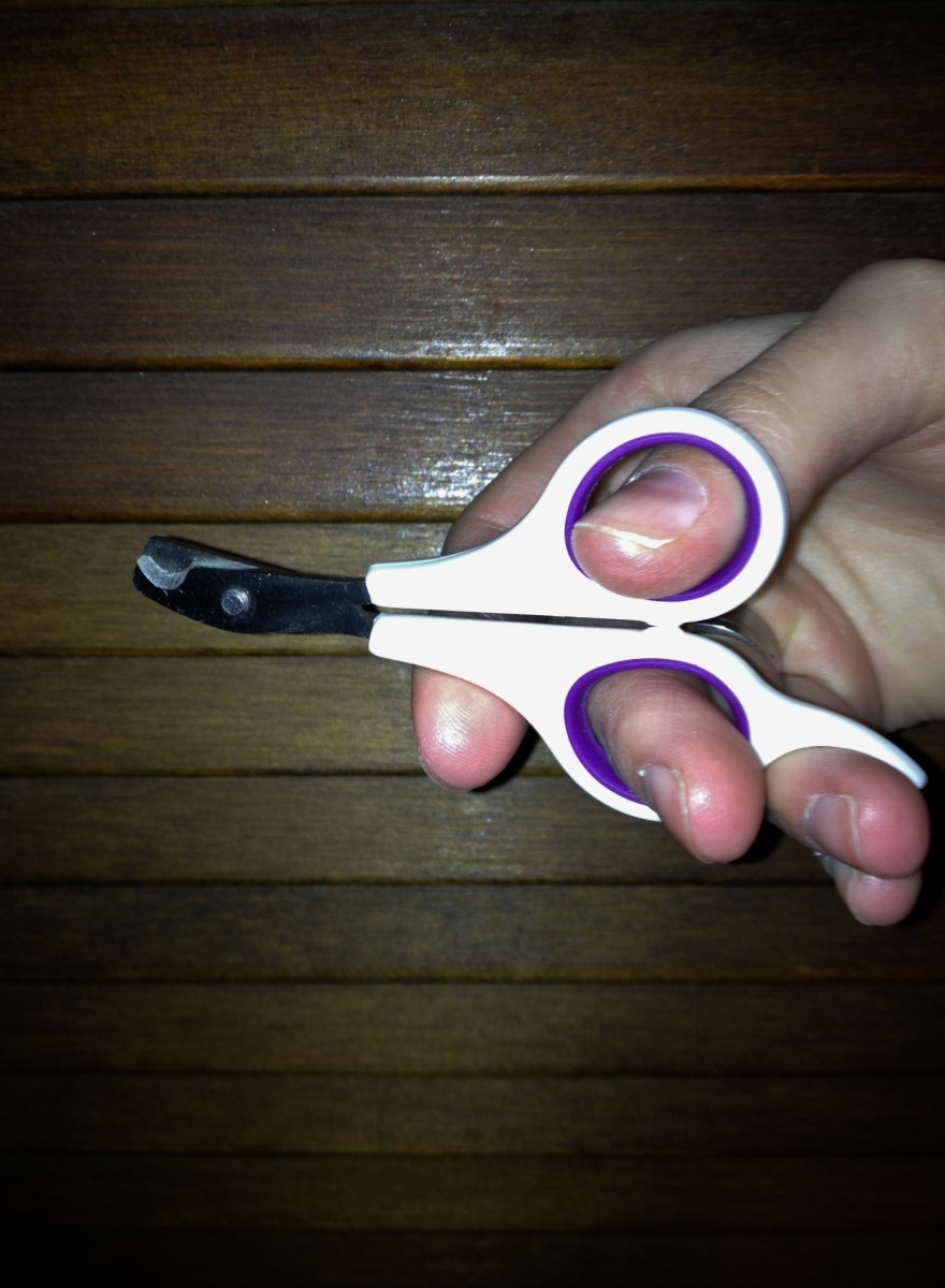 Nail scissors provide a better grip than human nail clippers and are sharp. 
