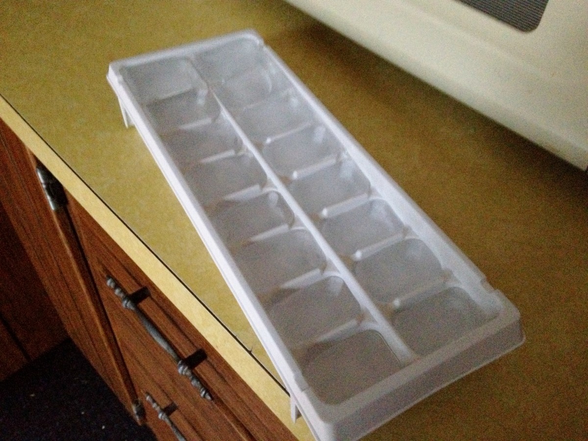 Ice cubes and frozen water bottles can help a rat cool down on a hot summer day.