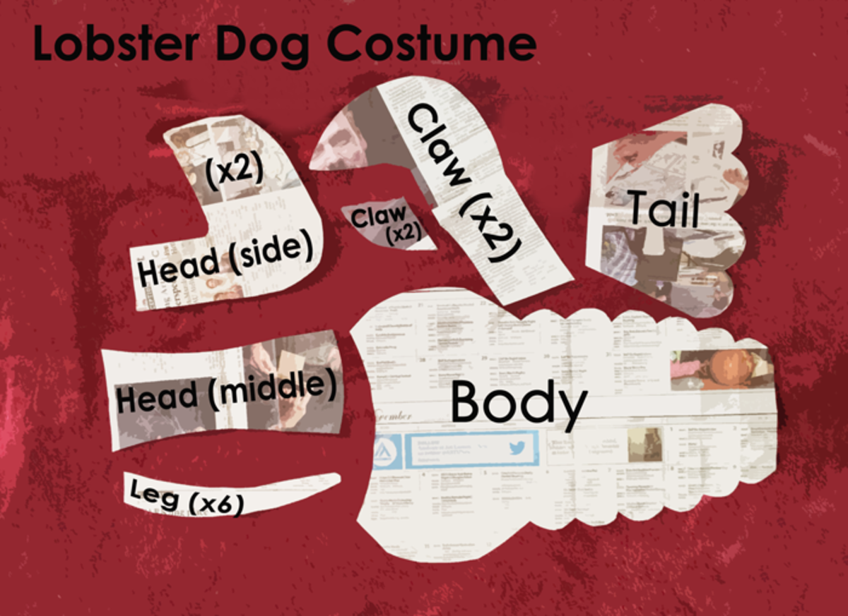 How to Make a Lobster Costume for Your Dog PetHelpful