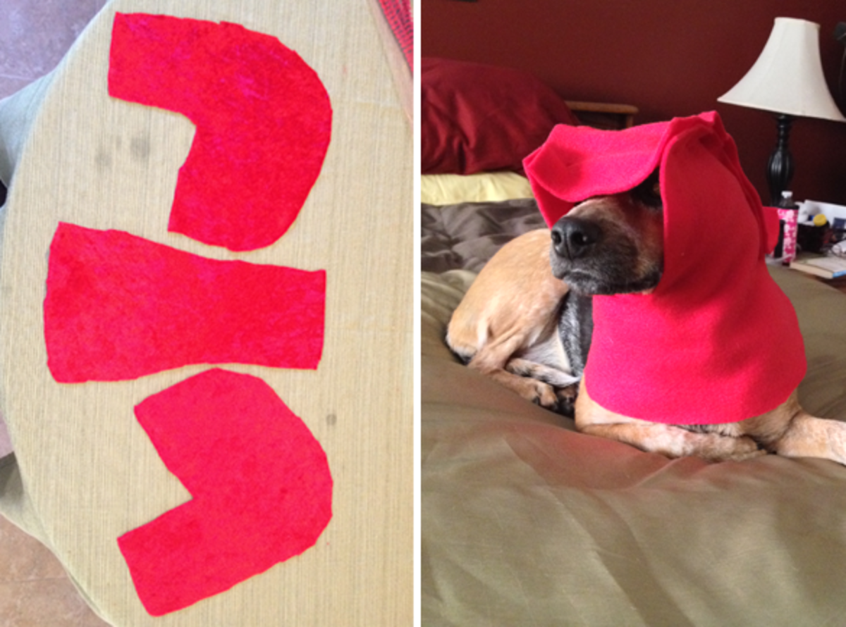 how-to-make-a-lobster-costume-for-your-dog