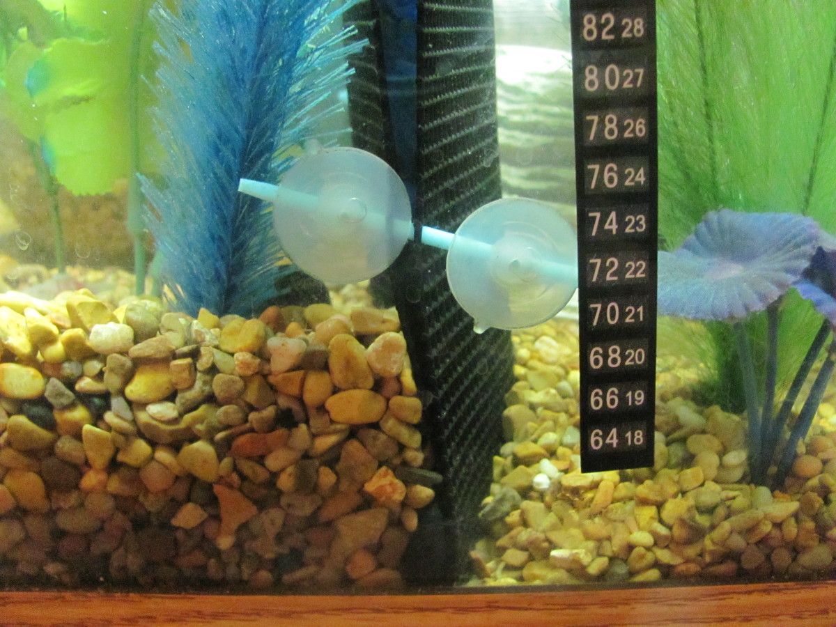 You can use plastic mesh to create dividers for the tank and replace the gravel a section at a time.
