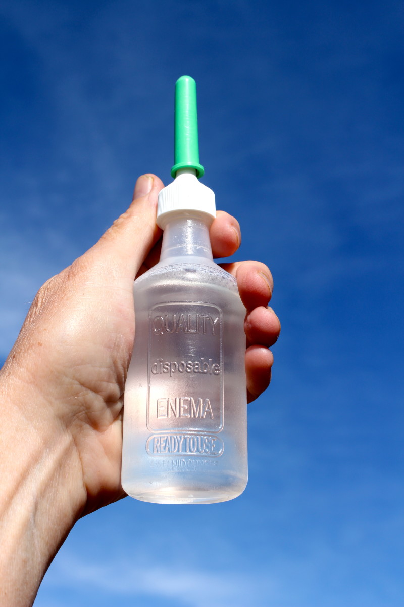 A pre-packaged enema suitable for a foal.