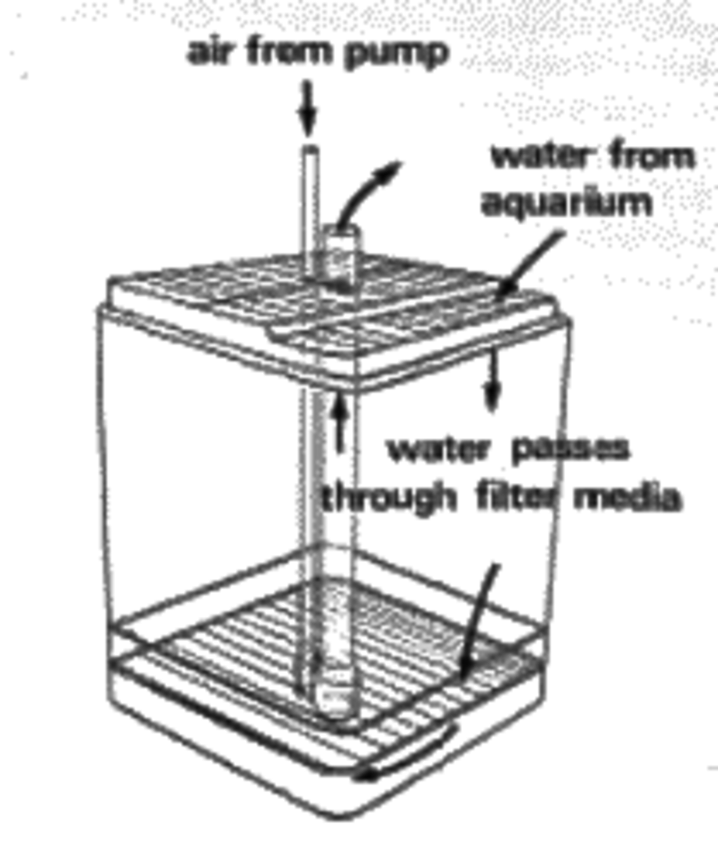 This diagram shows how a box filter works.
