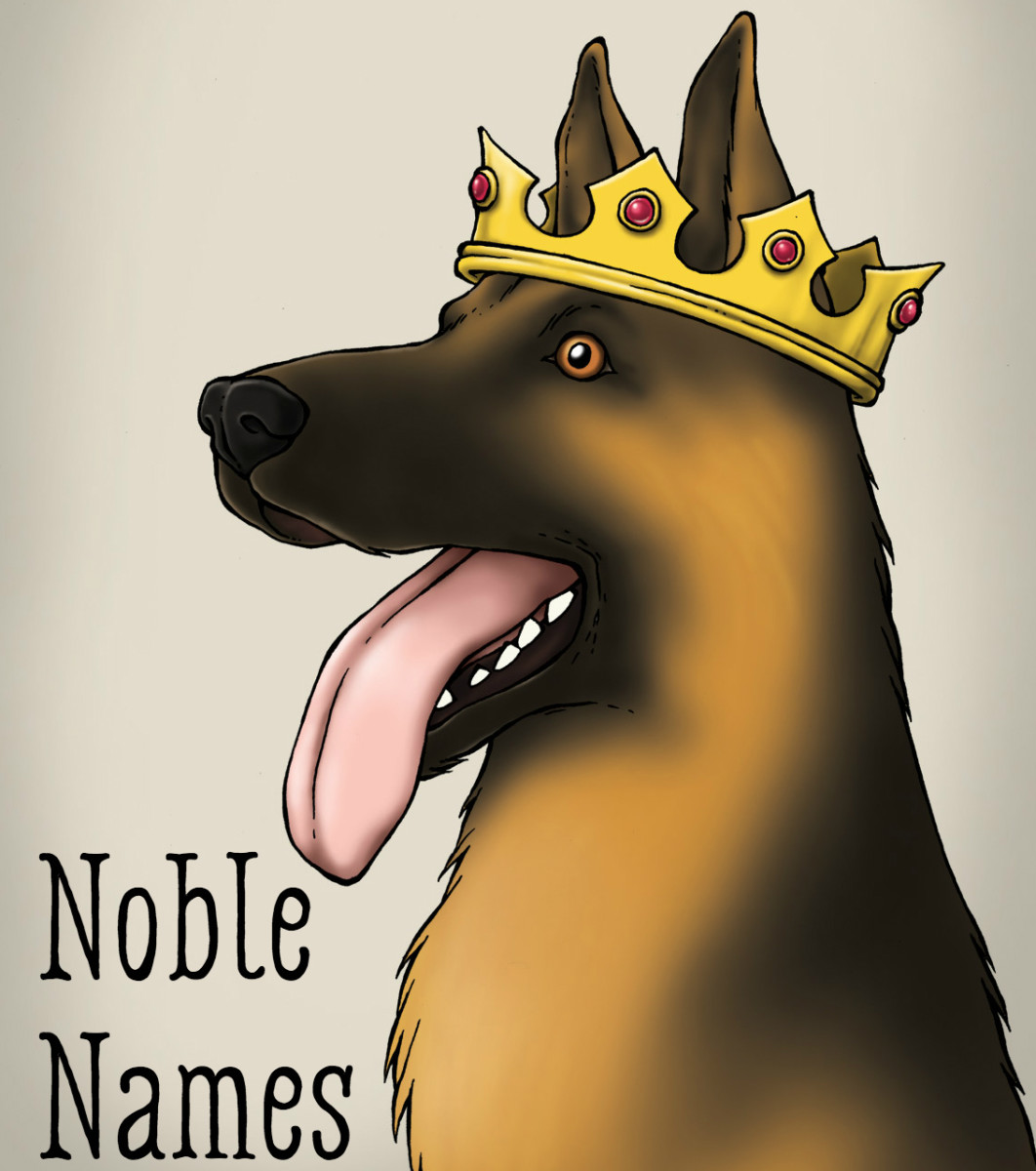 Is your dog the mighty warrior or leader type? One of these names might suit him.