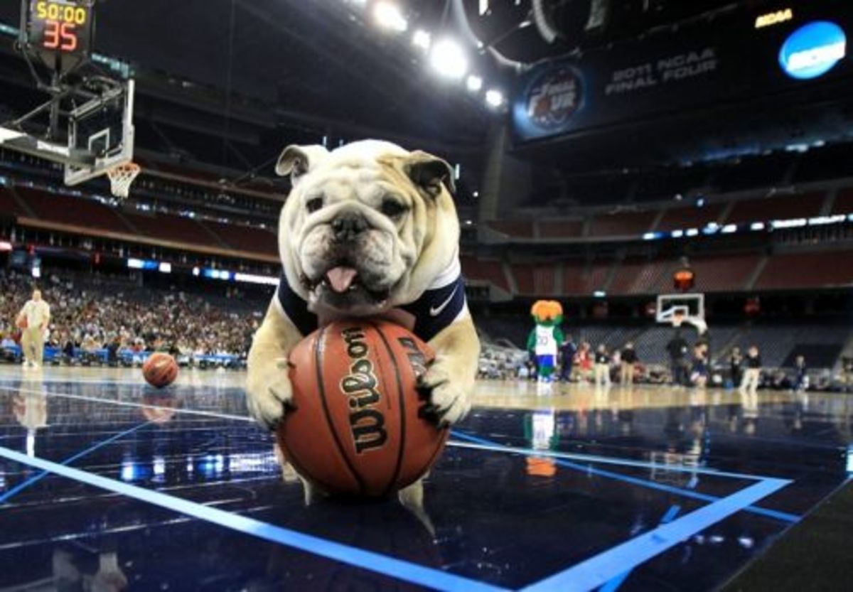 Dogs Love All Balls - Even Basketballs