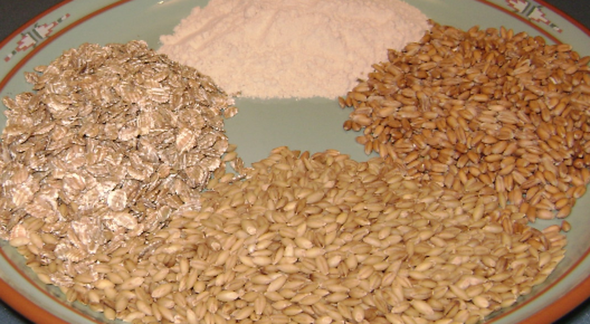 Gluten and grains are often used as fillers in pet food.