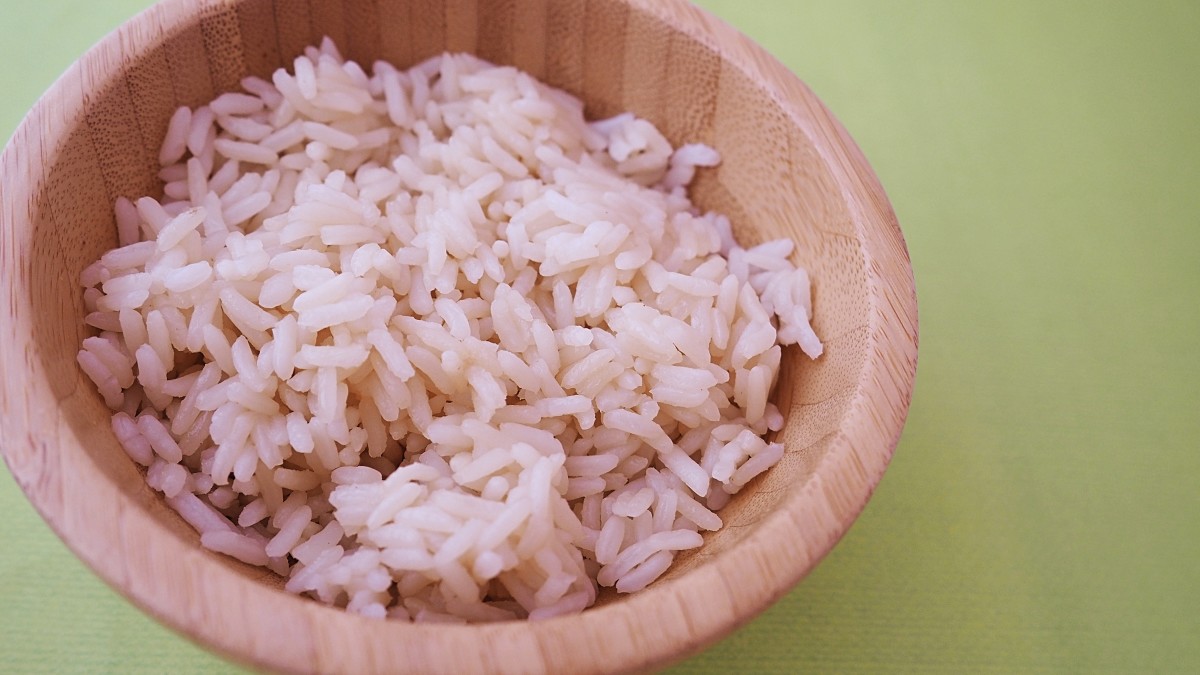 Plain white rice is a good food to offer a dog with diarrhea or an upset stomach.