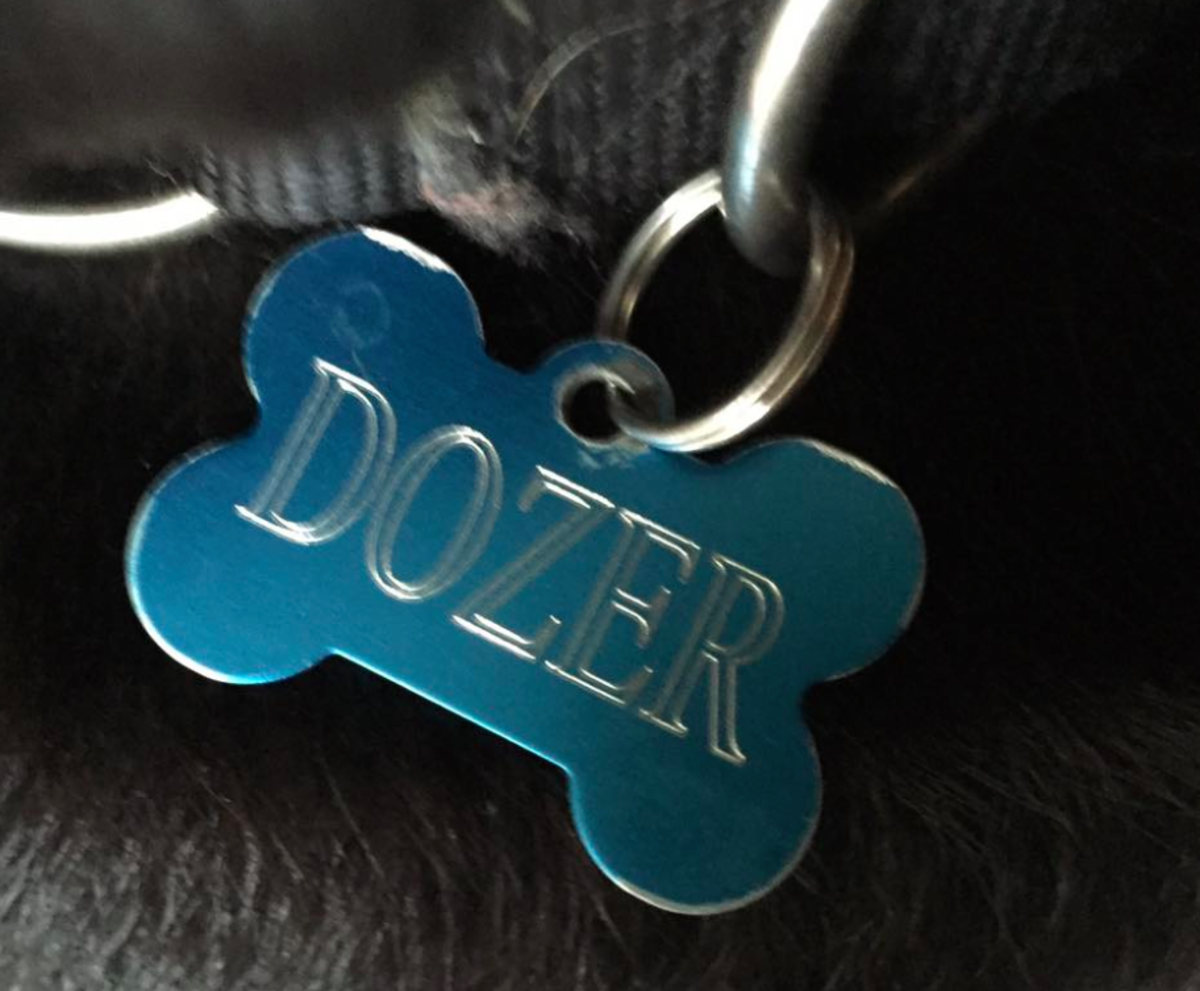 A dog identification tag with the owner name and phone number on the reverse side