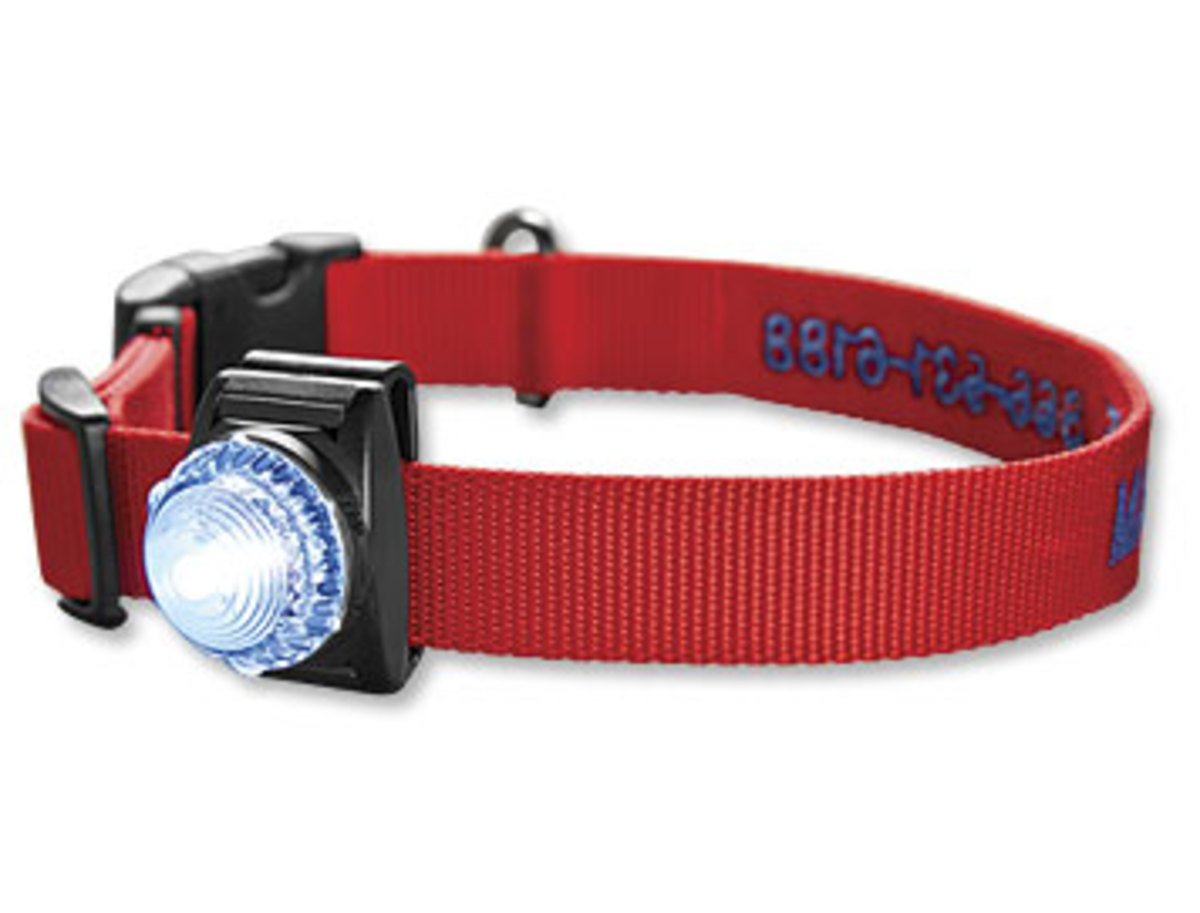 14 GameChanging Products That Will Transform Your Dog Walk PetHelpful