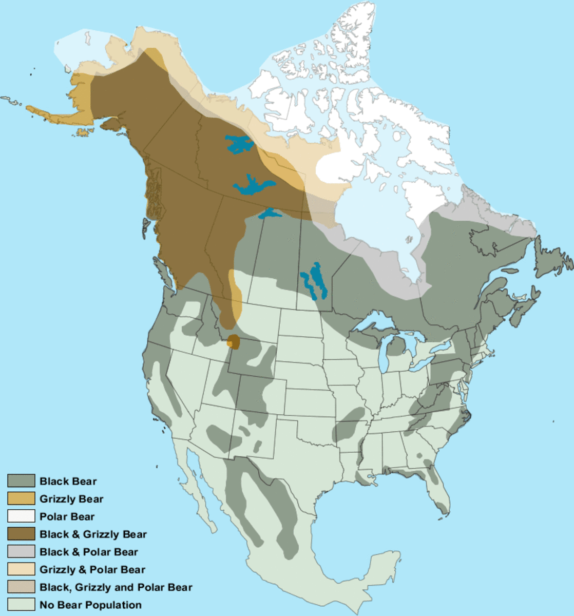 Map showing the distribution of various bear species in North America