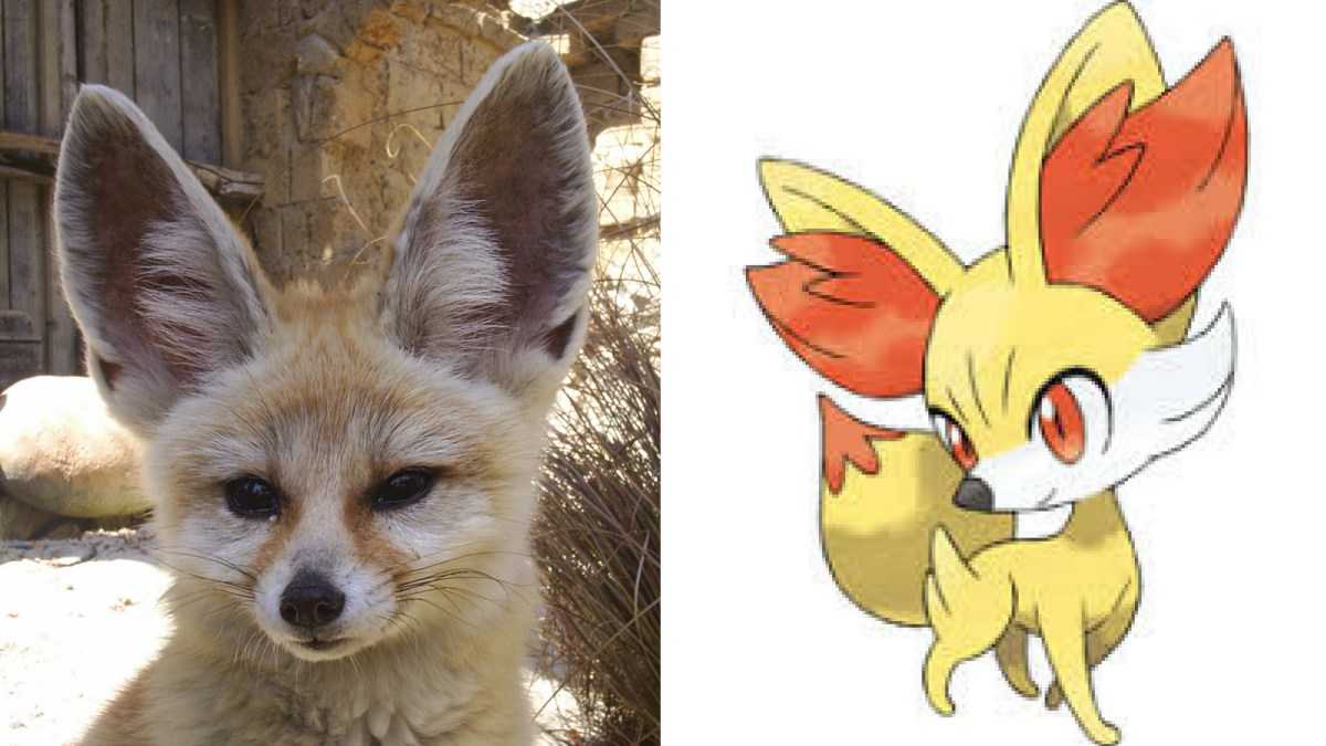 20 Real Pokémon You Can Own as Pets - PetHelpful