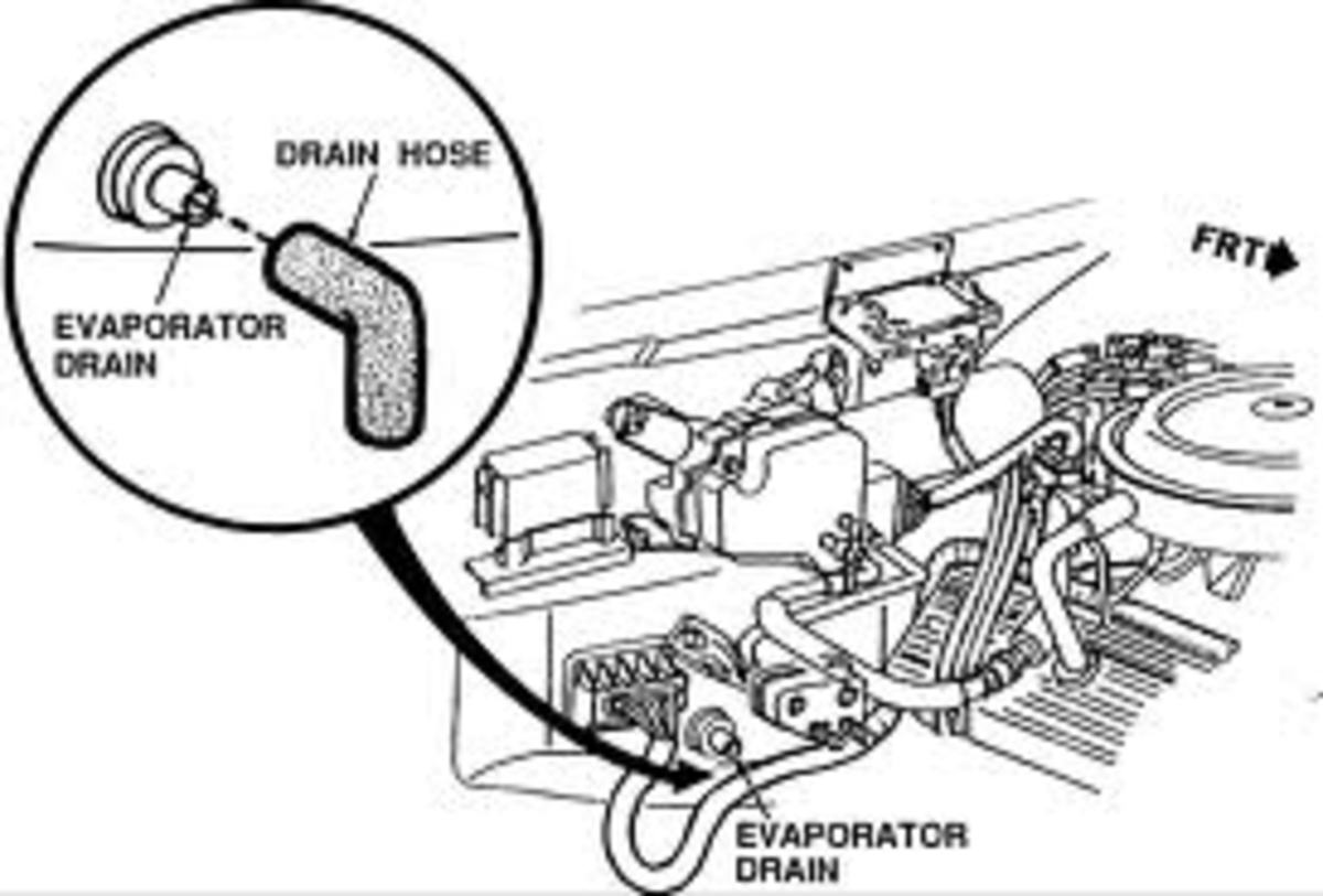 Evaporator drain location (on most vehicles)