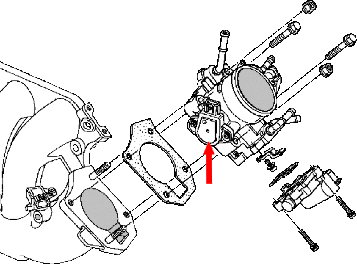 Location of throttle position sensor. 