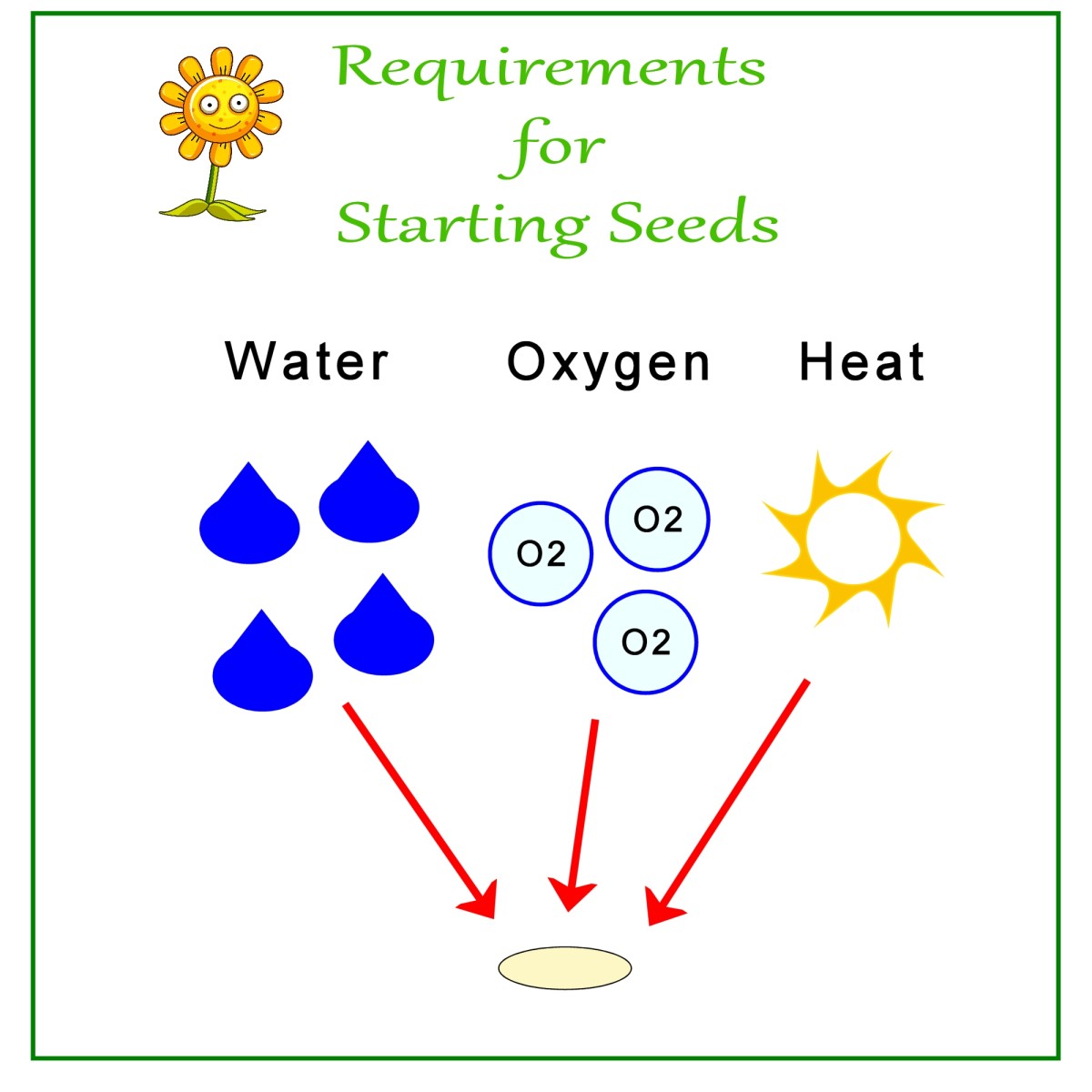 Requirements for seed germination.