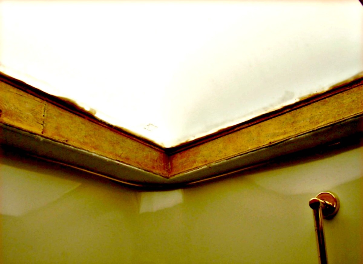 Skylights are prime areas for leaks that can cause serious damage to RVs.