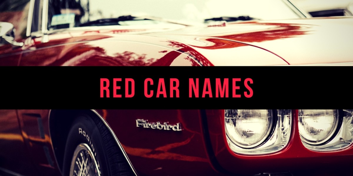 Great Car Names Werohmedia