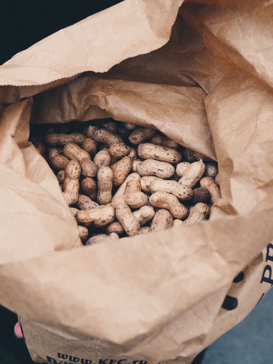Legumes, including peanuts, may be present in some dog food blends. Legumes contain copper, which is an element that is harmful to dogs dealing with Chronic Active Hepatitis. 