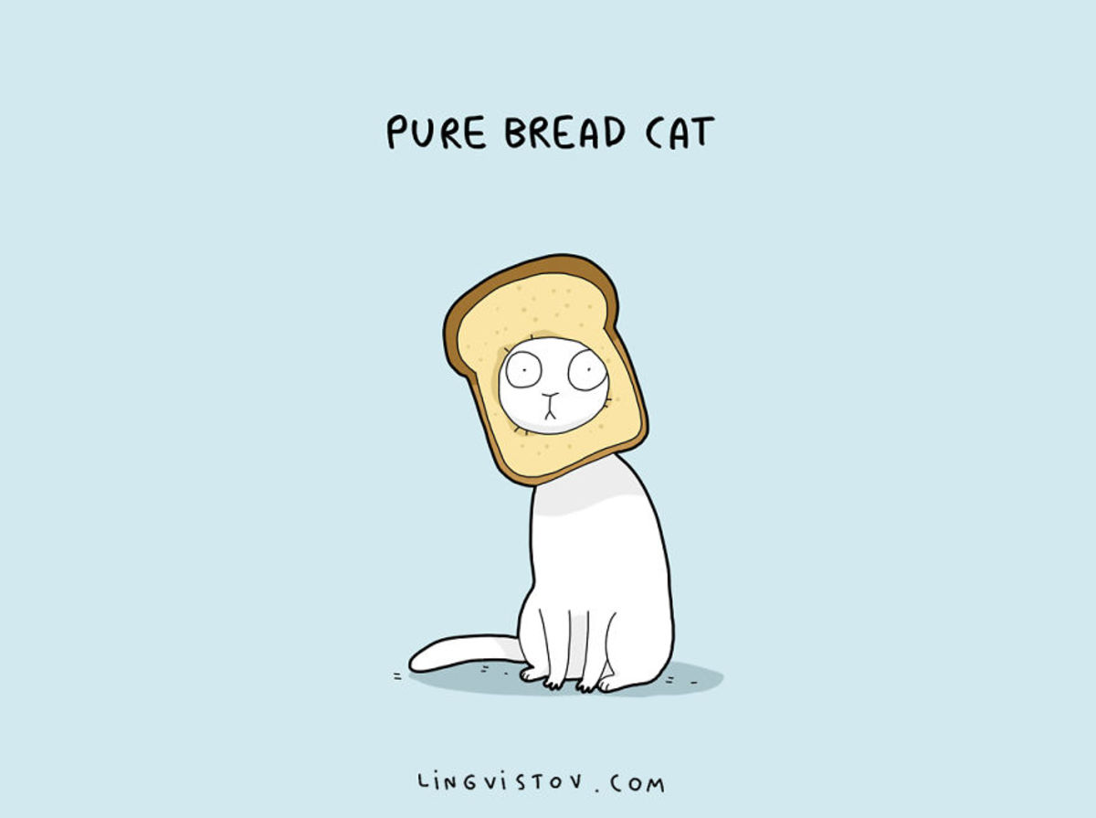 Hilarious Cat Pun!