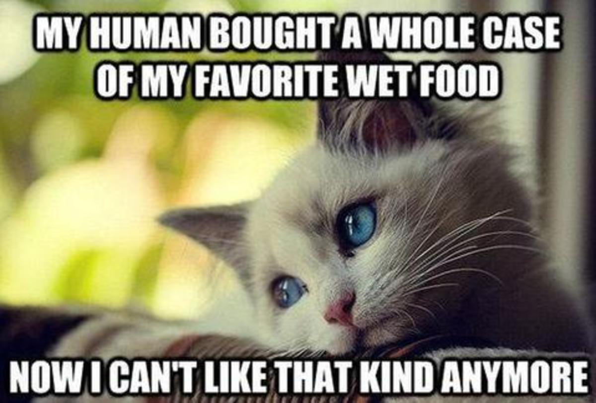 This meme is inspired by cats' tendency to be finicky about their food.