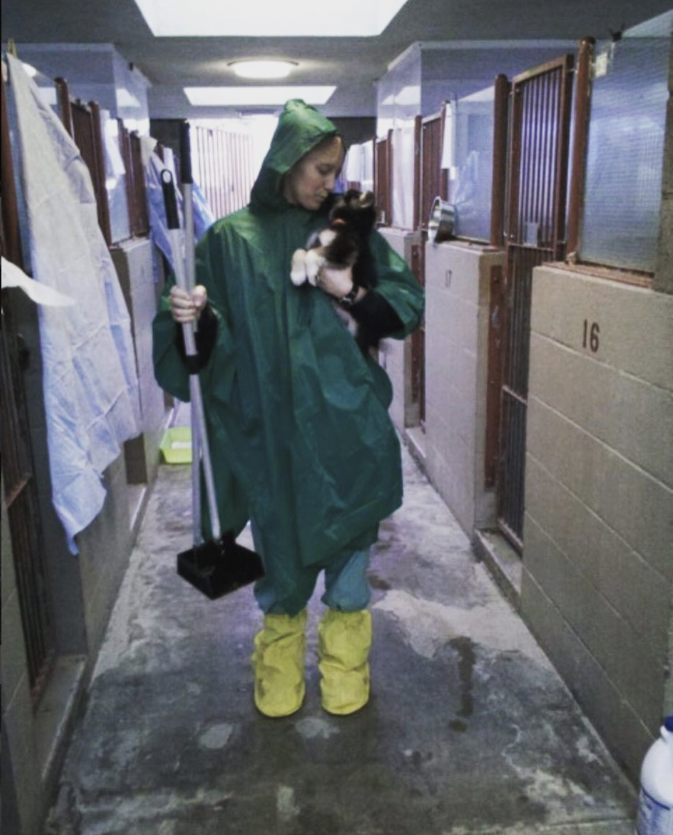 Me, when I was working my first job, over 10 years ago, at a shelter. Caring for a pup on a rainy day.