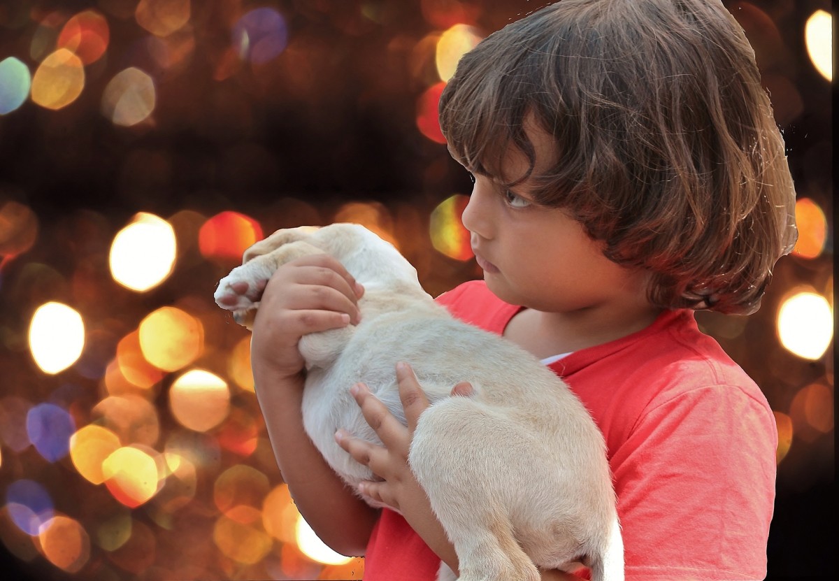 5 Reasons Why You Shouldn't Give Someone a Puppy for Christmas