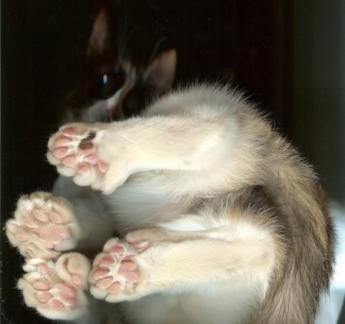 A "toes pose"!
