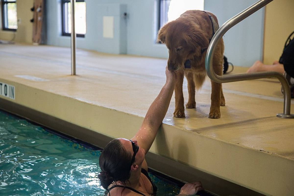 U.S. Army veteran, Christy Gardner, and her Department of Defense certified service dog train for the swimming event for the Warrior Care and Transition's Army Trials at Fort Bliss, Texas. 