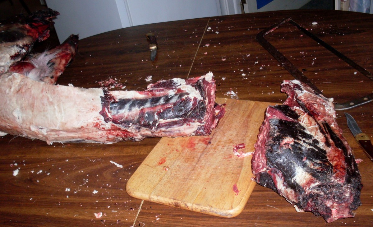 Start between the highest ribs to cut shoulders away from backbone. Cut the spine sections into steaks, starting at the front and cutting between the ribs. Leave attached to hindquarters for stabilization.
