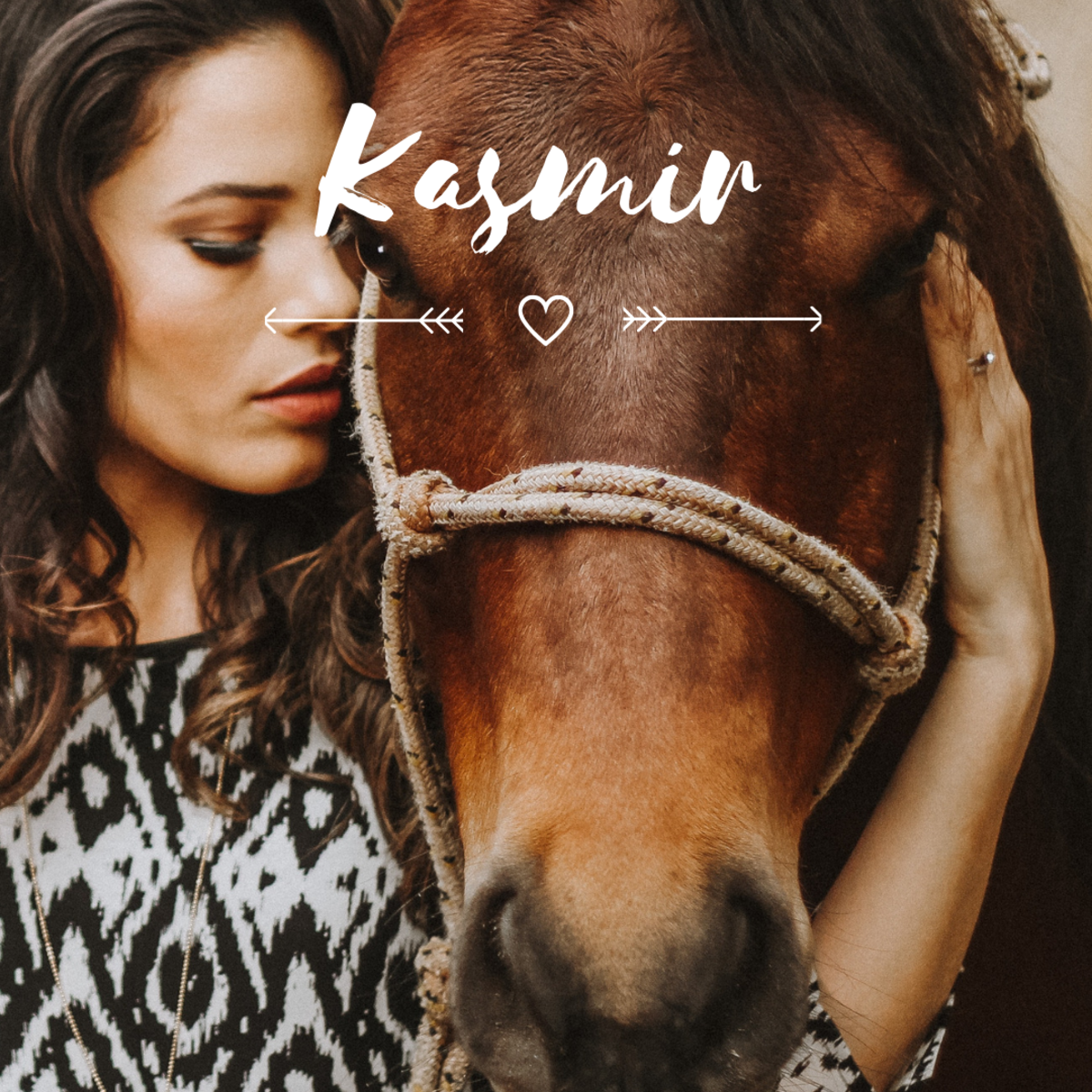 Is your bay horse a Kasmir?